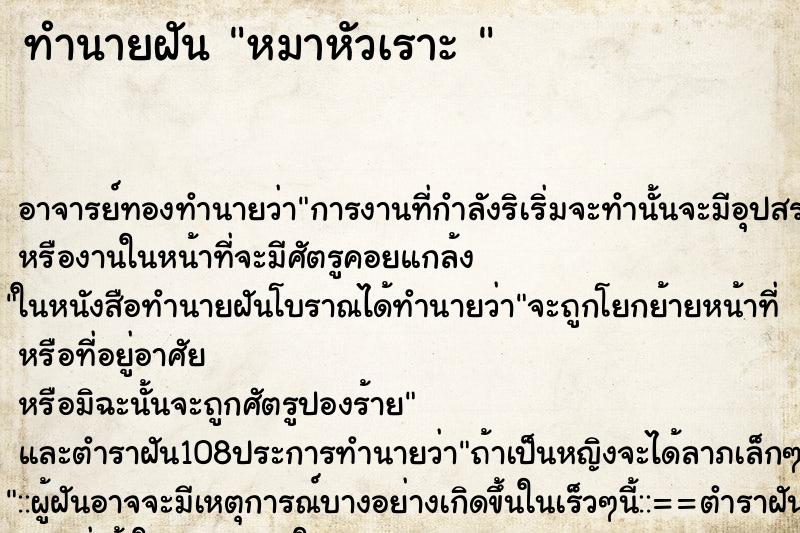 ทำนายฝันทำนายฝันหมาหัวเราะ